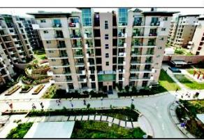 New flats of DDA go on â€˜saleâ€™ online
