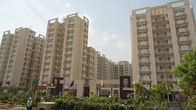 Petals Gurgaon