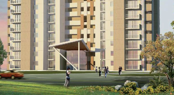 3C GREENOPOLIS