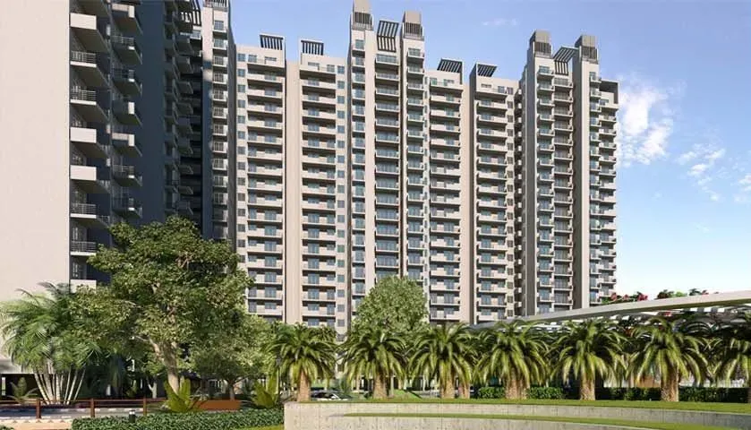 The Coralwood