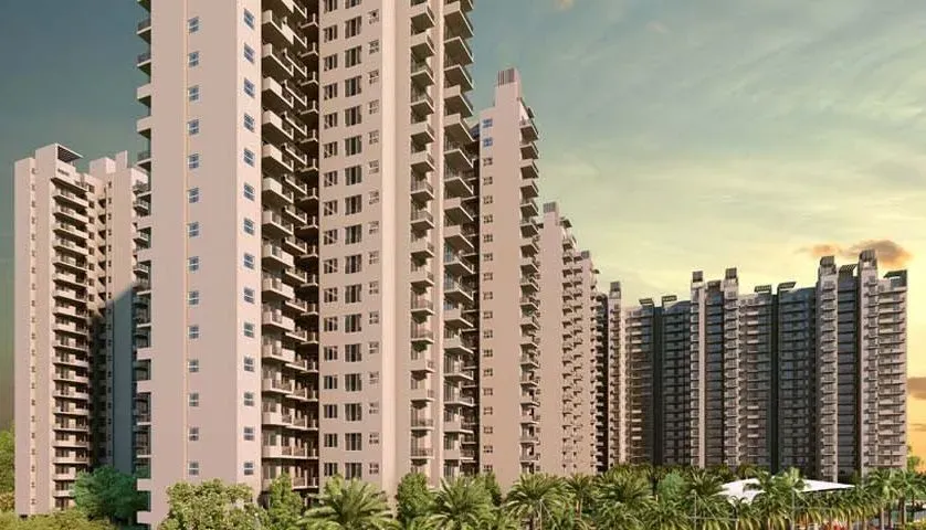 The Coralwood