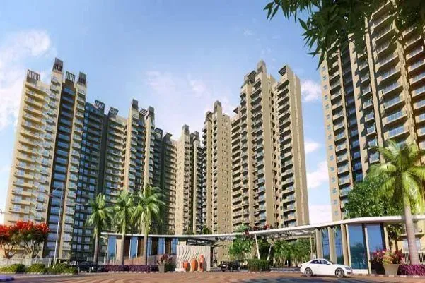The Coralwood