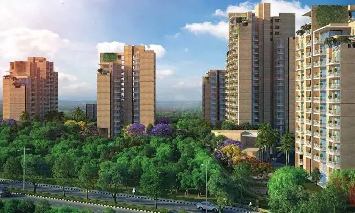CHD Vann, Gurgaon