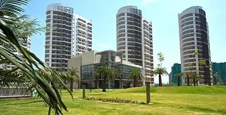 The Palm Drive