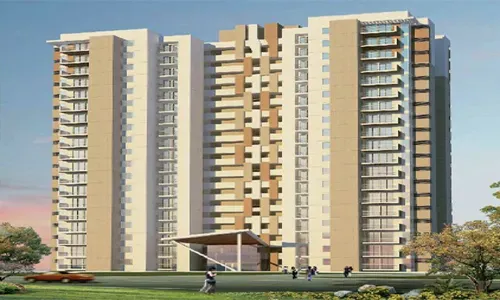 Orris 3C Greenopolis