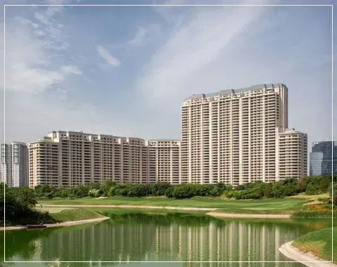 DLF The Camellias