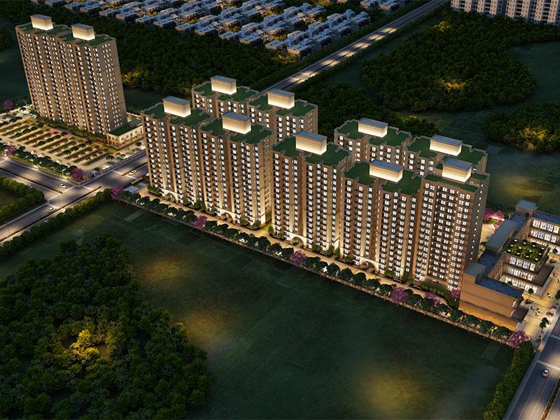Signature The Millennia 3