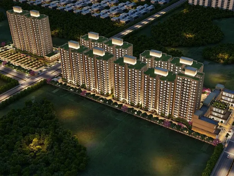 Signature The Millennia 3