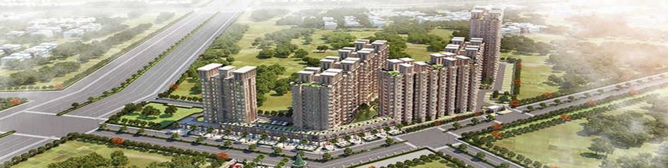 Signature Solera Apartment