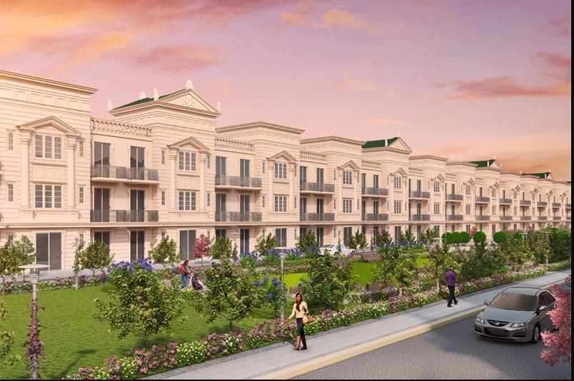 Signature Global Premium Floors