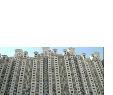 DLF City Senior Citizen Council