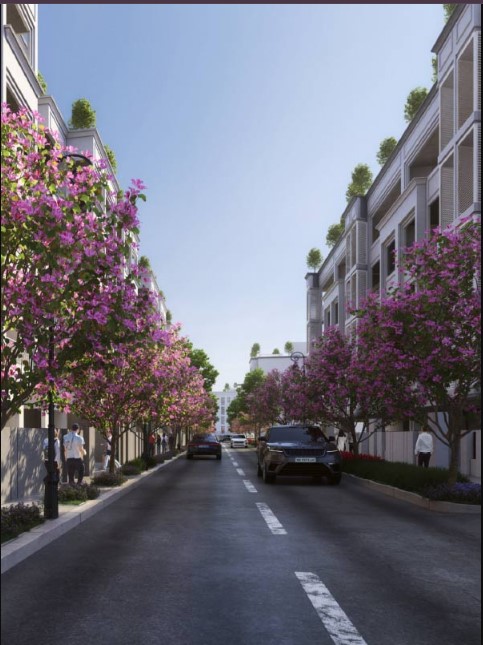 DLF City Phase V Gurgaon