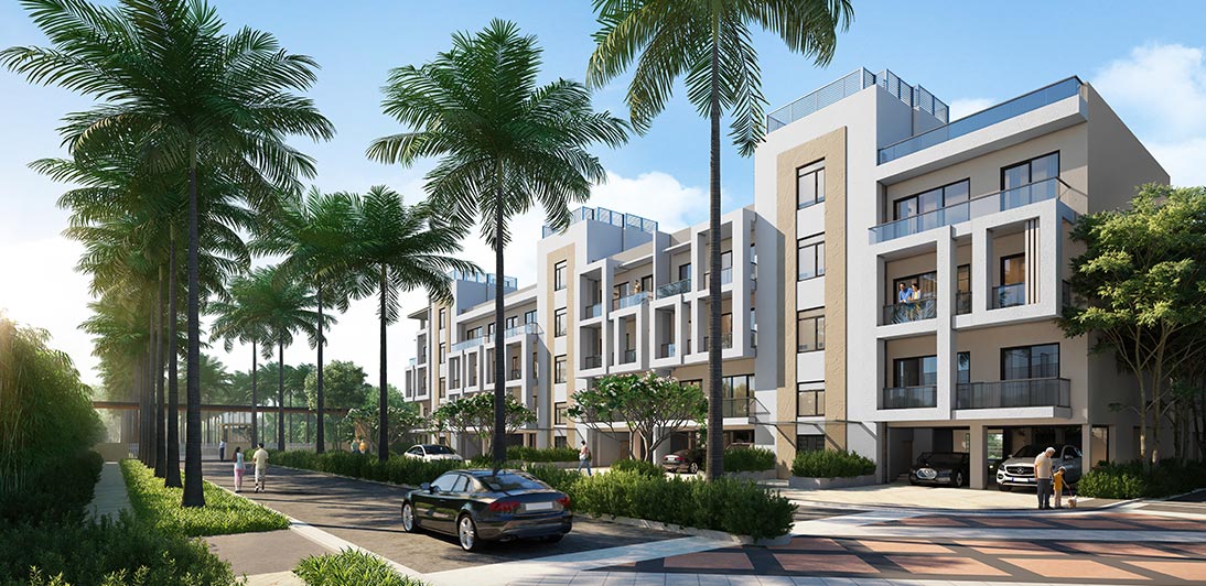 Ace Palm Floors