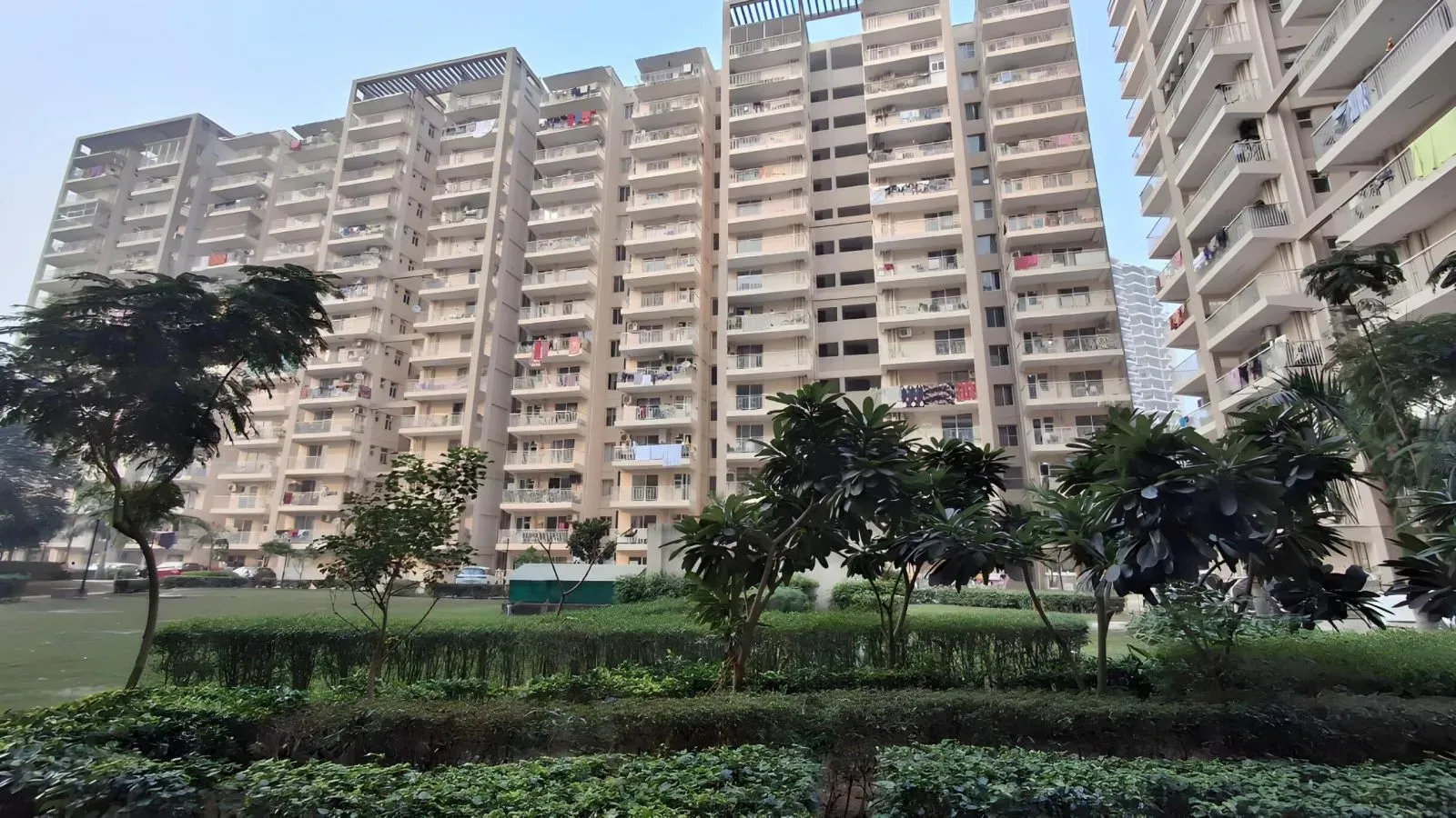 Green Court