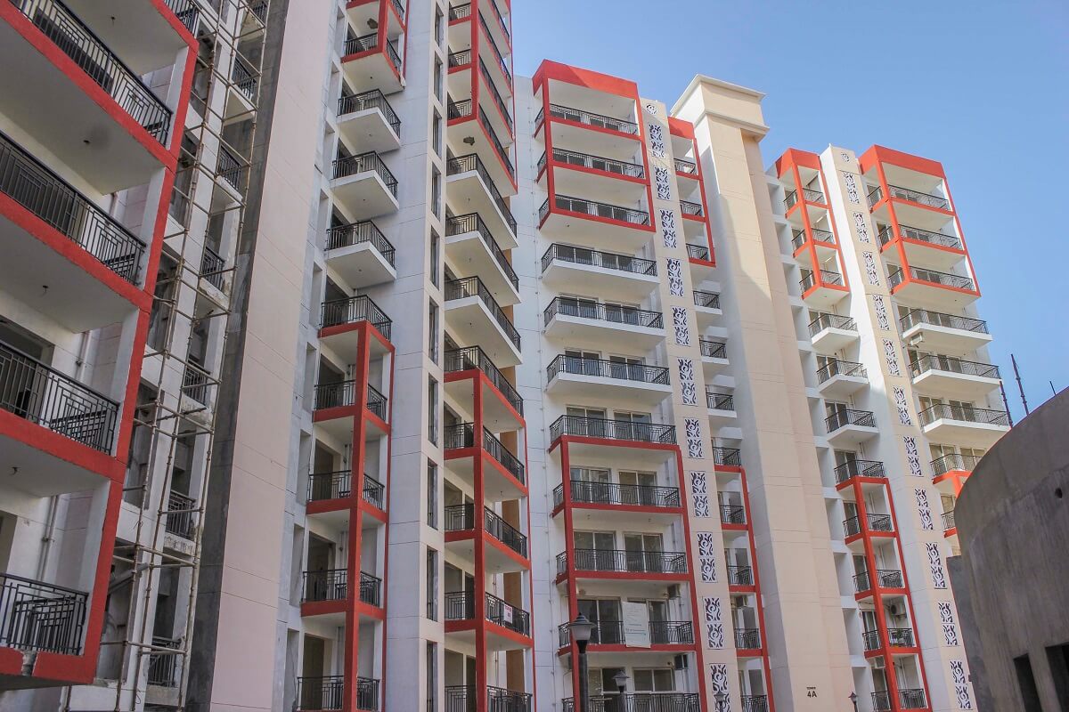 Orris Aster Court Premier