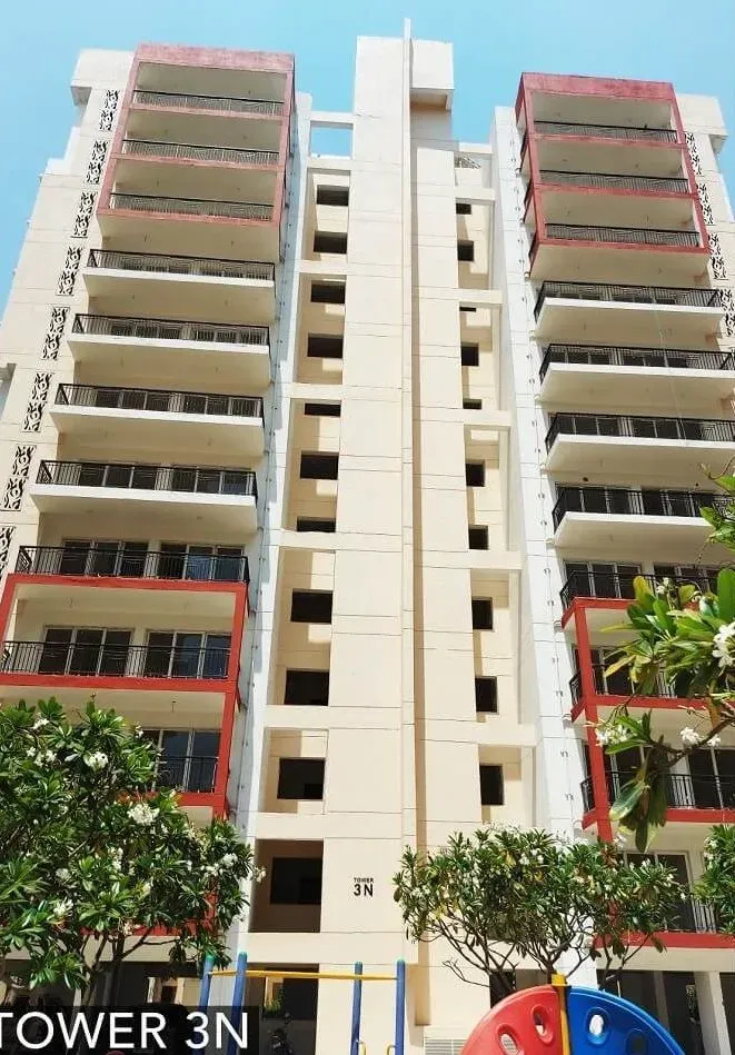 Orris Aster Court Premier