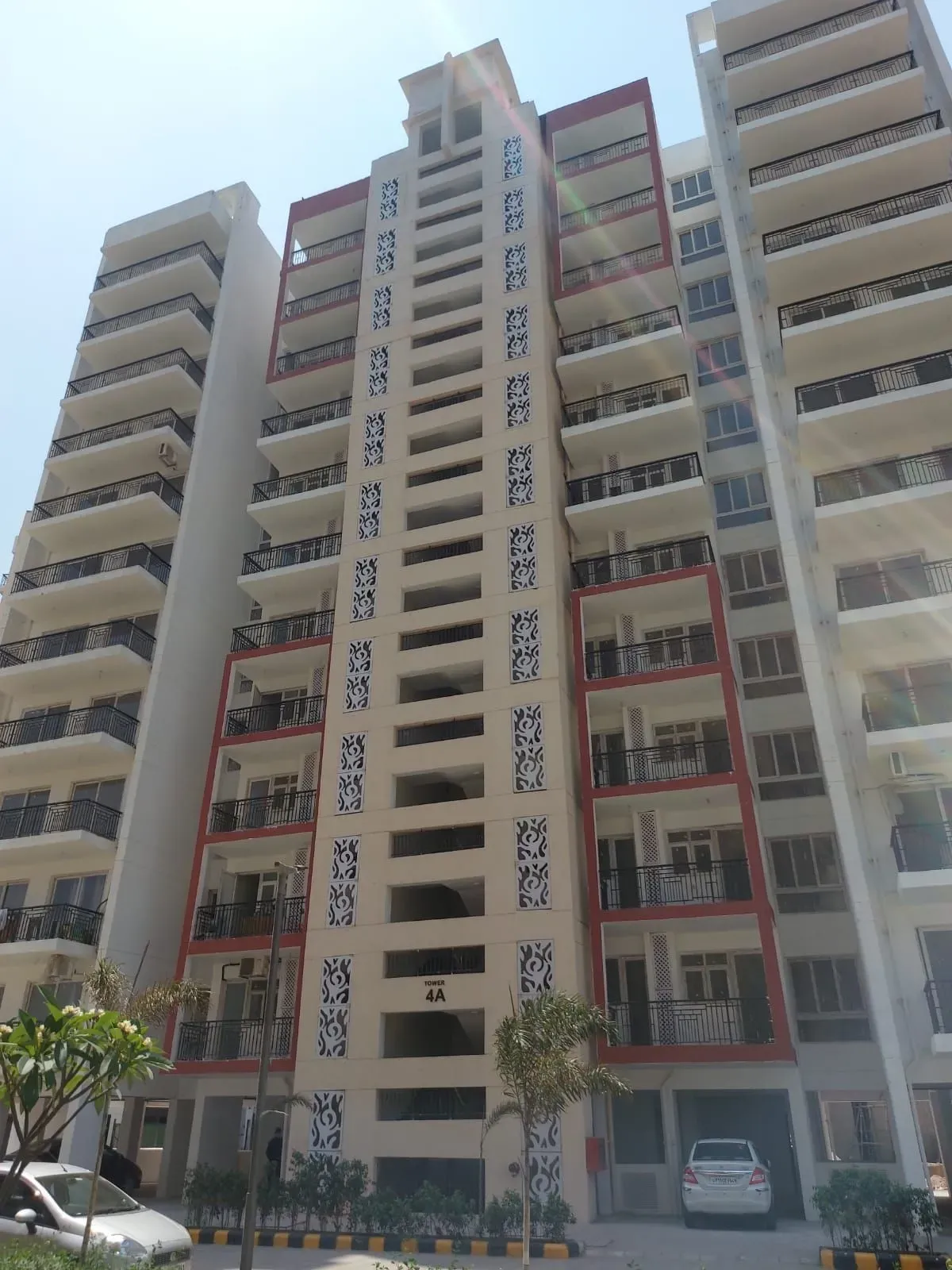Orris Aster Court Premier