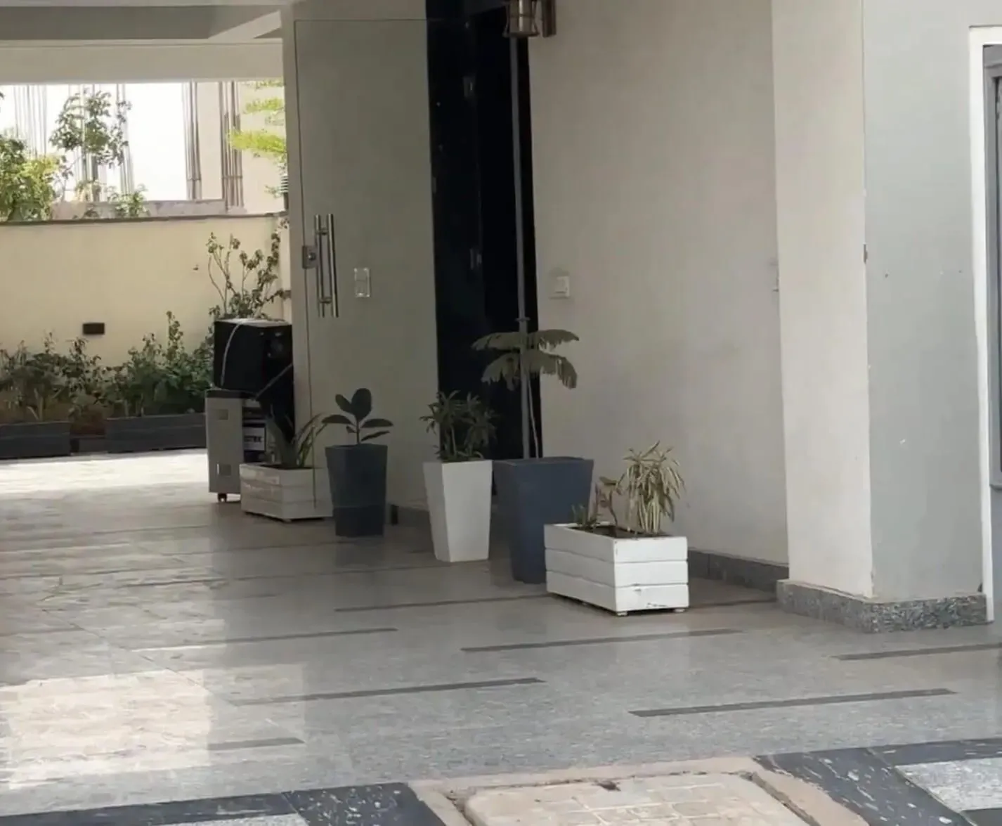 The Rising Palm
