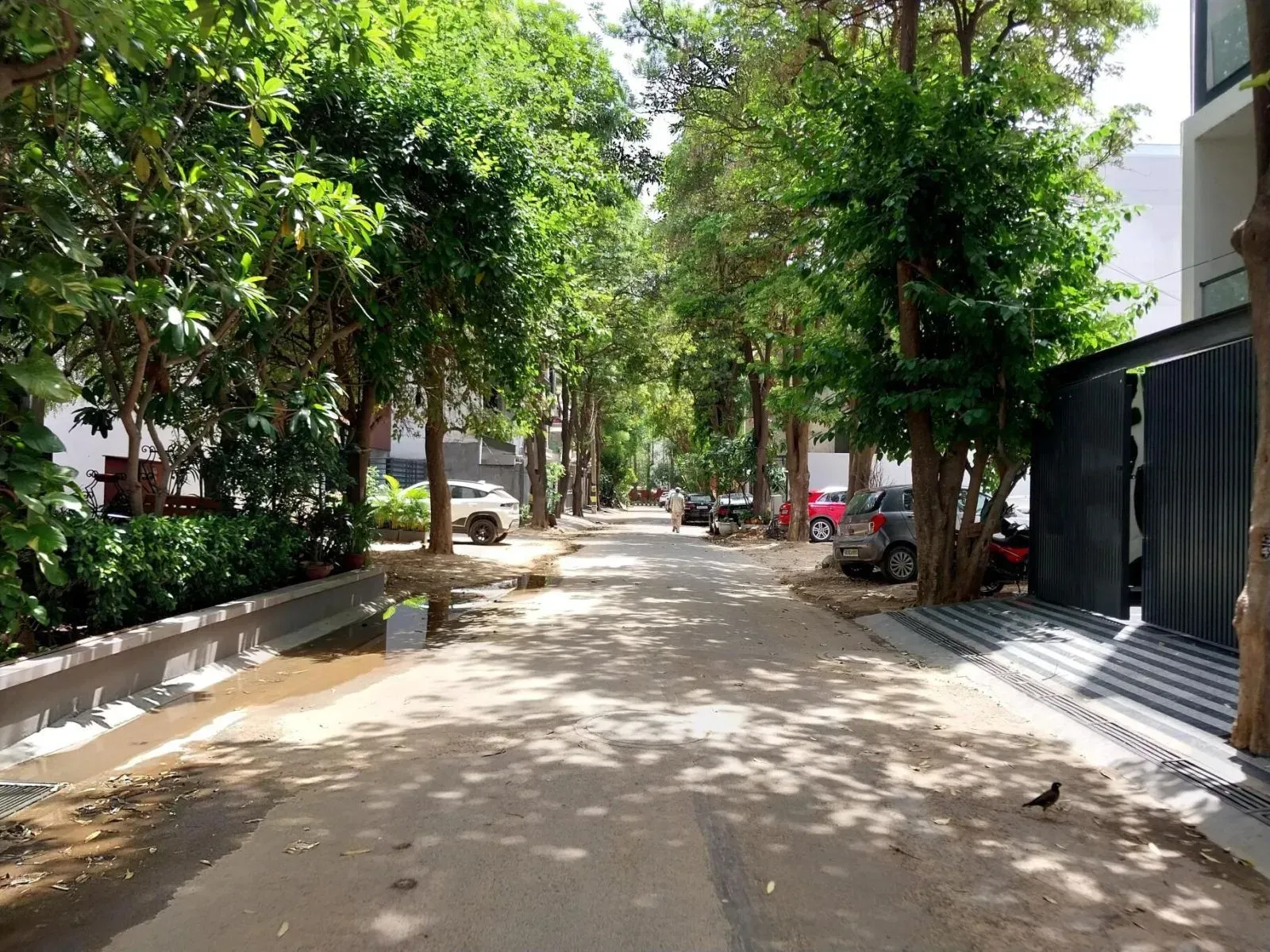 DLF Phase 4 Luxury Builder Floors