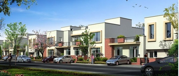 Unitech Alder Grove