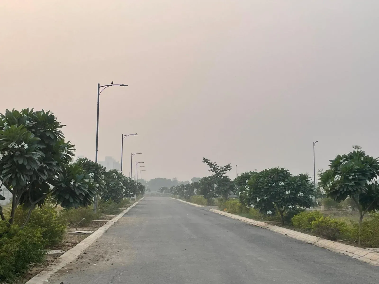 Lion Infra Green Valley