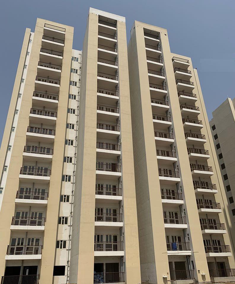 GLS Avenue 51