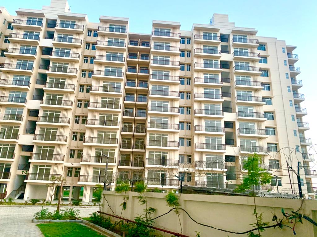 AVL 36 Gurgaon