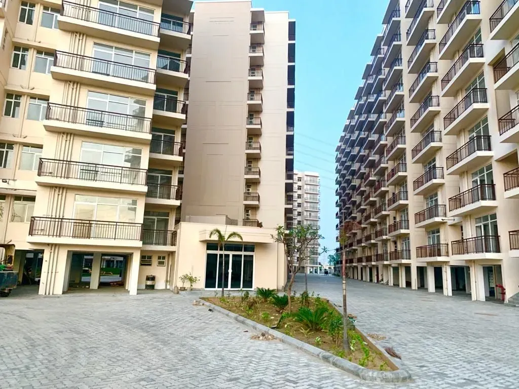 AVL 36 Gurgaon