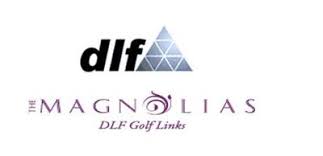 Dlf Developer